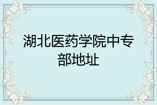 湖北医药学院中专部地址