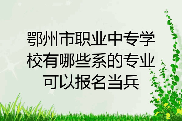 鄂州市职业中专学校有哪些系的专业可以报名当兵