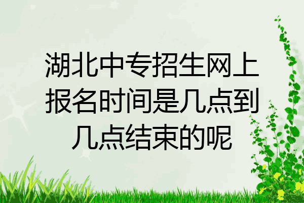 湖北中专招生网上报名时间是几点到几点结束的呢