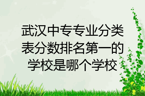 武汉中专专业分类表分数排名第一的学校是哪个学校
