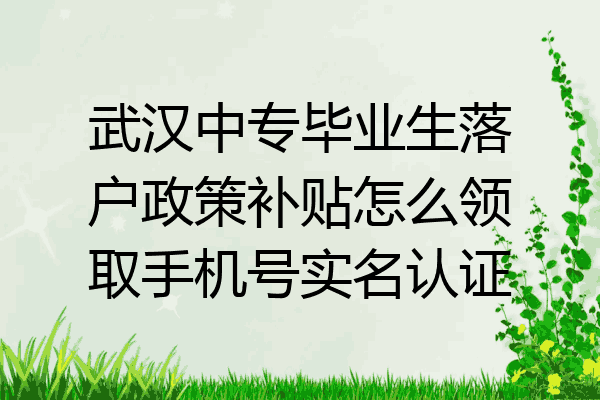 武汉中专毕业生落户政策补贴怎么领取手机号实名认证