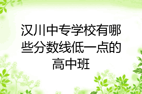 汉川中专学校有哪些分数线低一点的高中班