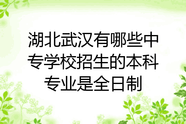 湖北武汉有哪些中专学校招生的本科专业是全日制