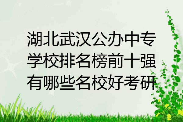 湖北武汉公办中专学校排名榜前十强有哪些名校好考研
