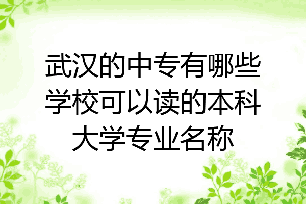武汉的中专有哪些学校可以读的本科大学专业名称