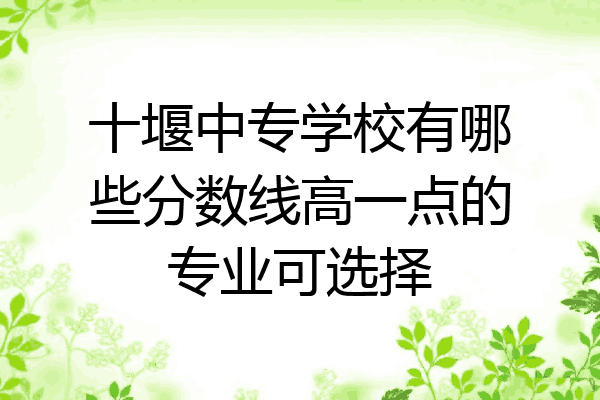 十堰中专学校有哪些分数线高一点的专业可选择
