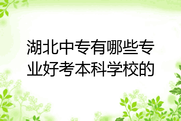 湖北中专有哪些专业好考本科学校的
