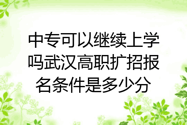 中专可以继续上学吗武汉高职扩招报名条件是多少分