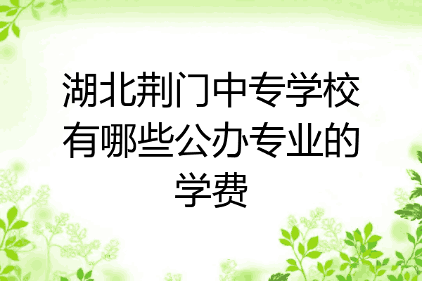 湖北荆门中专学校有哪些公办专业的学费