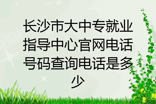 长沙市大中专就业指导中心官网电话号码查询电话是多少
