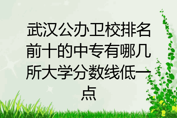 武汉公办卫校排名前十的中专有哪几所大学分数线低一点