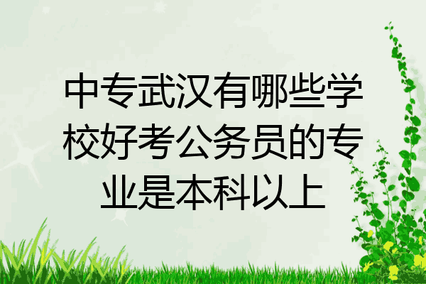 中专武汉有哪些学校好考公务员的专业是本科以上