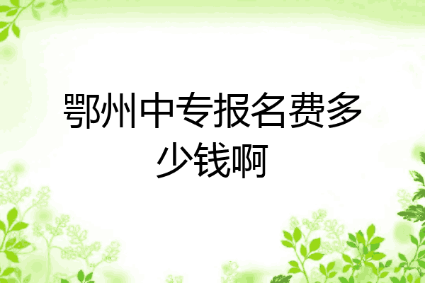 鄂州中专报名费多少钱啊