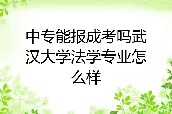 中专能报成考吗武汉大学法学专业怎么样