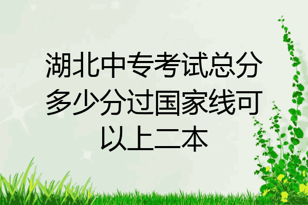 湖北中专考试总分多少分过国家线可以上二本