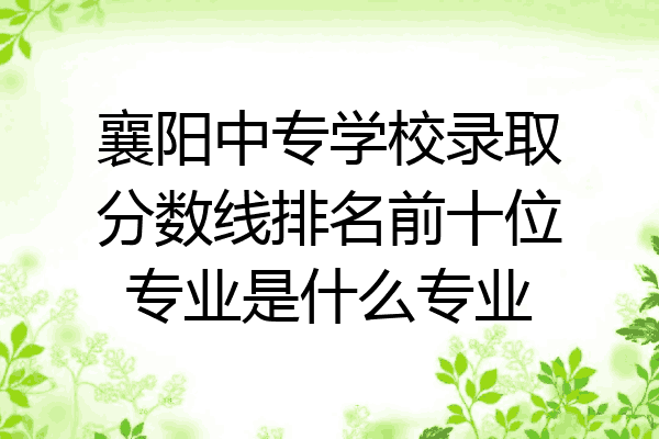 襄阳中专学校录取分数线排名前十位专业是什么专业
