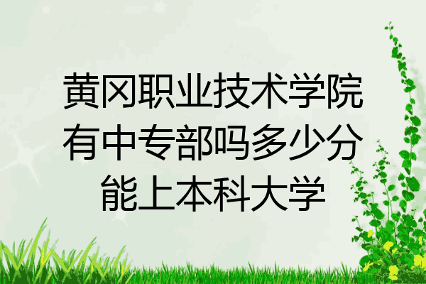 黄冈职业技术学院有中专部吗多少分能上本科大学