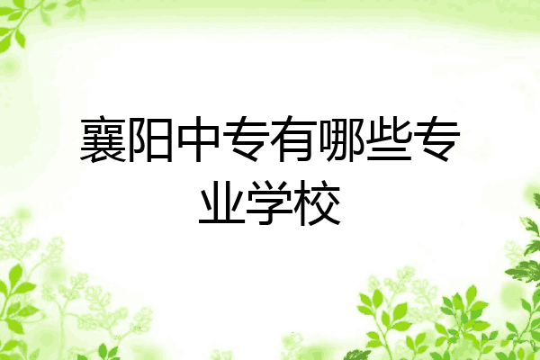 襄阳中专有哪些专业学校