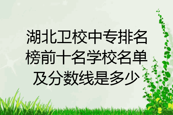 湖北卫校中专排名榜前十名学校名单及分数线是多少