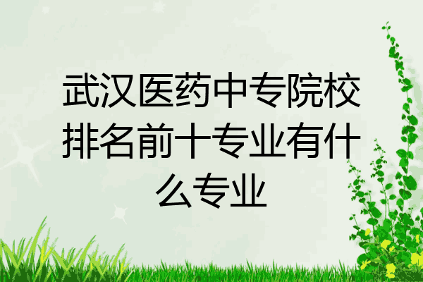 武汉医药中专院校排名前十专业有什么专业