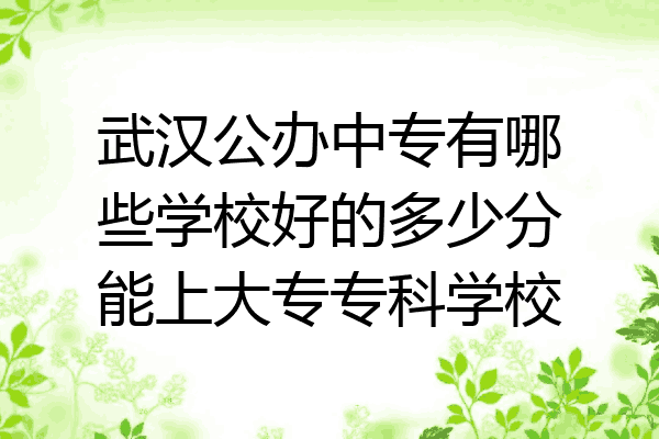 武汉公办中专有哪些学校好的多少分能上大专专科学校