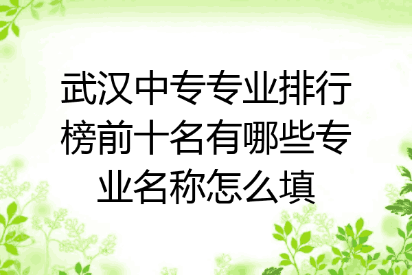 武汉中专专业排行榜前十名有哪些专业名称怎么填