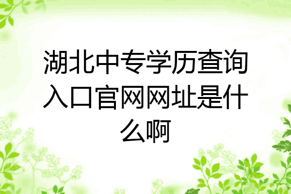湖北中专学历查询入口官网网址是什么啊