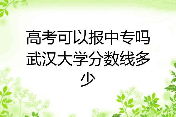 高考可以报中专吗武汉大学分数线多少