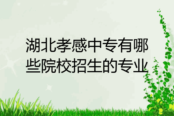 湖北孝感中专有哪些院校招生的专业