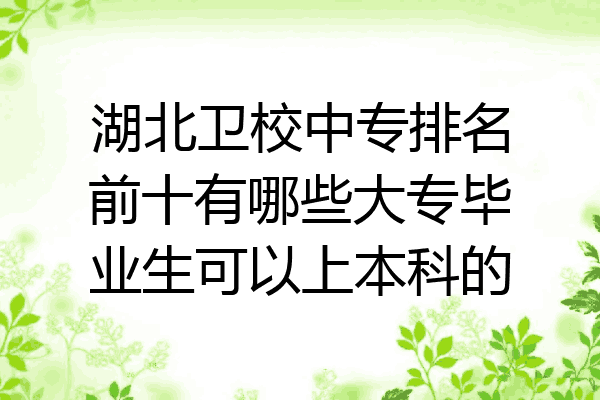 湖北卫校中专排名前十有哪些大专毕业生可以上本科的