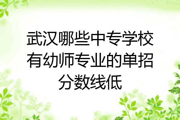 武汉哪些中专学校有幼师专业的单招分数线低
