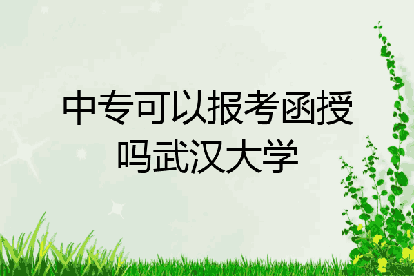 中专可以报考函授吗武汉大学