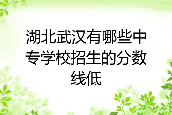 湖北武汉有哪些中专学校招生的分数线低