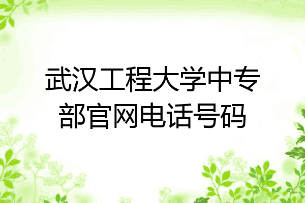武汉工程大学中专部官网电话号码