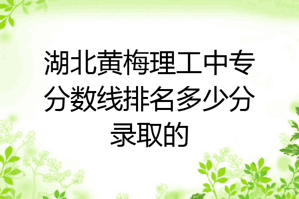 湖北黄梅理工中专分数线排名多少分录取的
