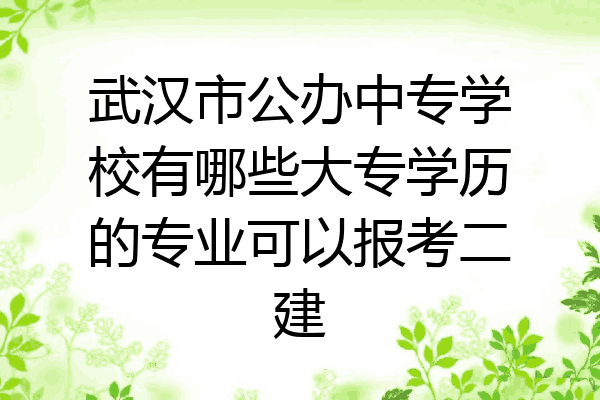 武汉市公办中专学校有哪些大专学历的专业可以报考二建
