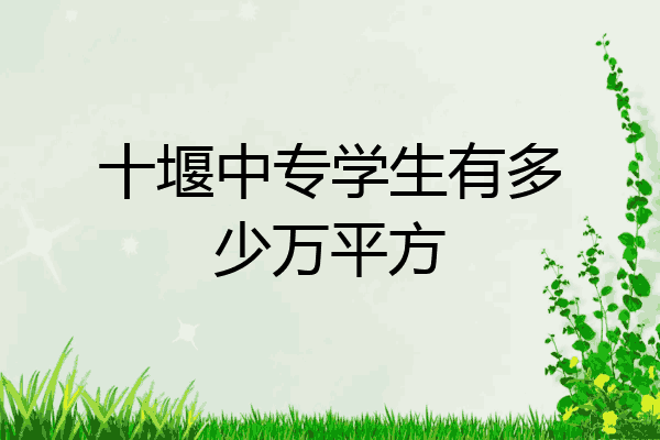 十堰中专学生有多少万平方