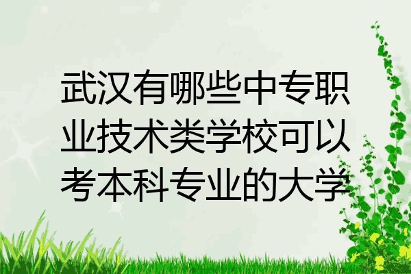 武汉有哪些中专职业技术类学校可以考本科专业的大学