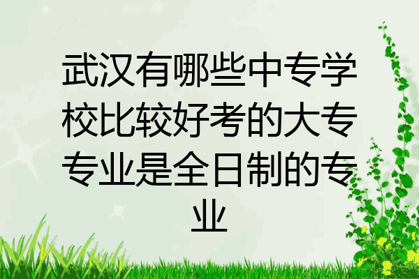 武汉有哪些中专学校比较好考的大专专业是全日制的专业
