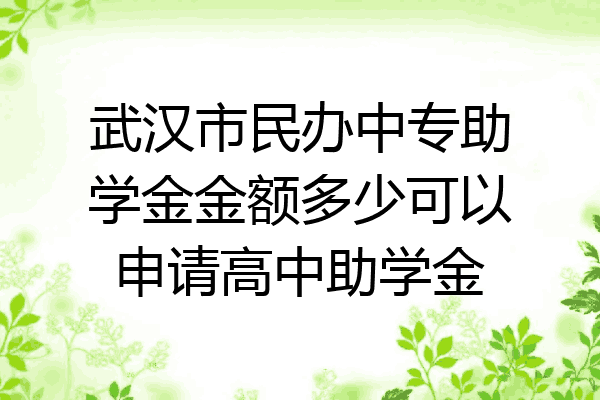 武汉市民办中专助学金金额多少可以申请高中助学金