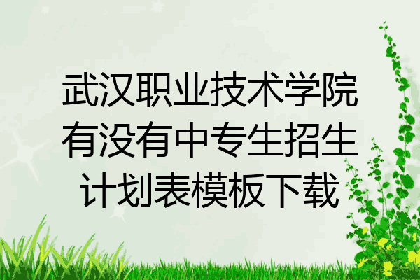 武汉职业技术学院有没有中专生招生计划表模板下载