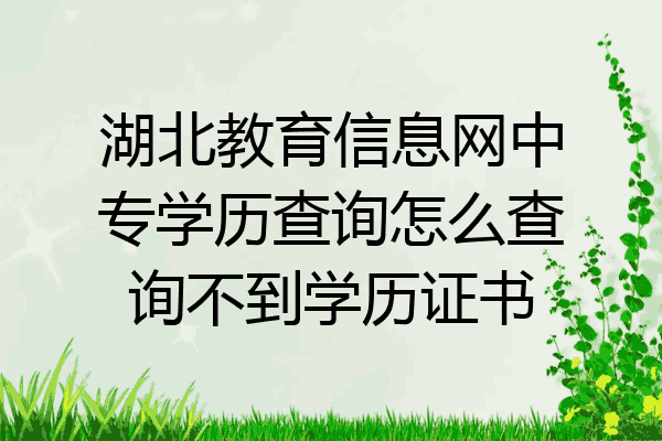 湖北教育信息网中专学历查询怎么查询不到学历证书
