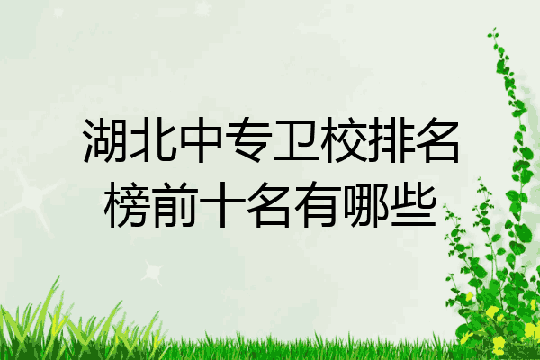 湖北中专卫校排名榜前十名有哪些