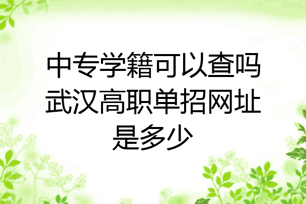 中专学籍可以查吗武汉高职单招网址是多少