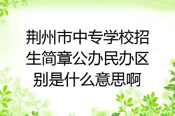 荆州市中专学校招生简章公办民办区别是什么意思啊