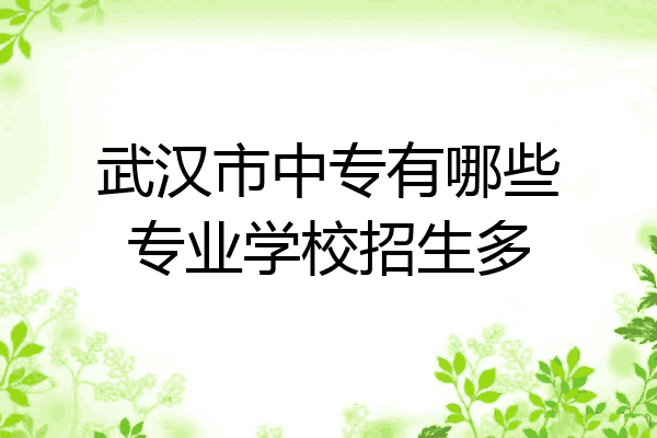 武汉市中专有哪些专业学校招生多