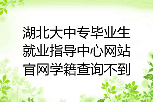 湖北大中专毕业生就业指导中心网站官网学籍查询不到