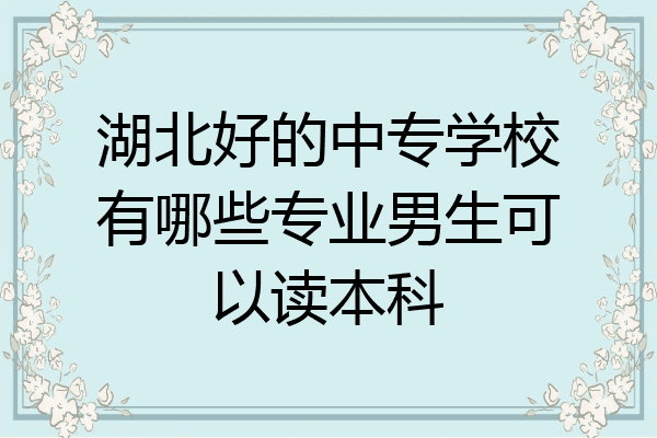 湖北好的中专学校有哪些专业男生可以读本科
