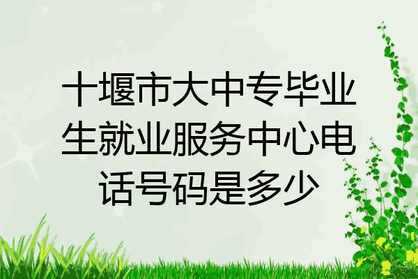 十堰市大中专毕业生就业服务中心电话号码是多少