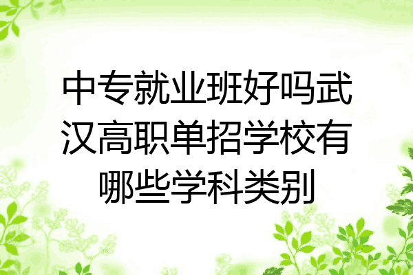 中专就业班好吗武汉高职单招学校有哪些学科类别